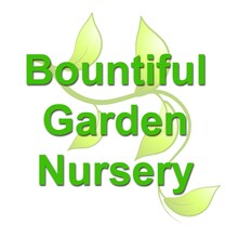 storefront logo